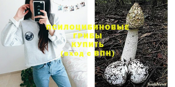 винт Абаза