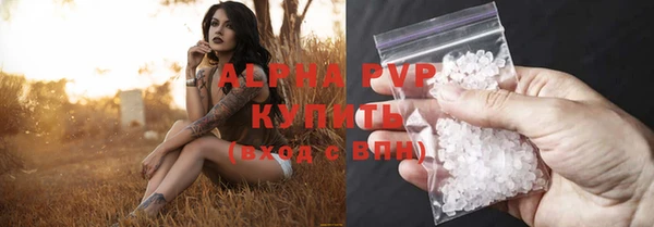 винт Абаза