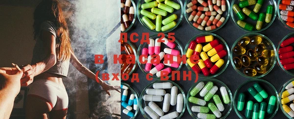 винт Абаза