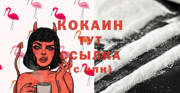 винт Абаза