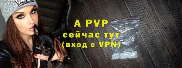 винт Абаза