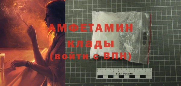 винт Абаза