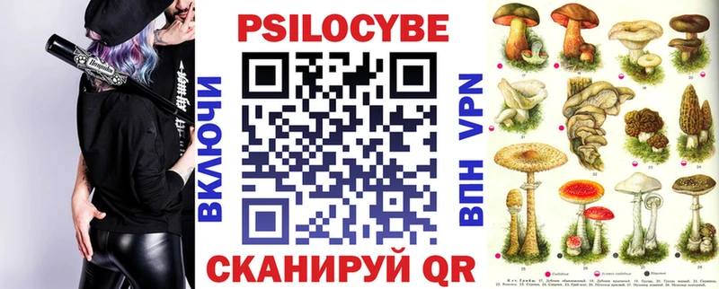 купить наркотики цена Аксай Псилоцибиновые грибы мицелий
