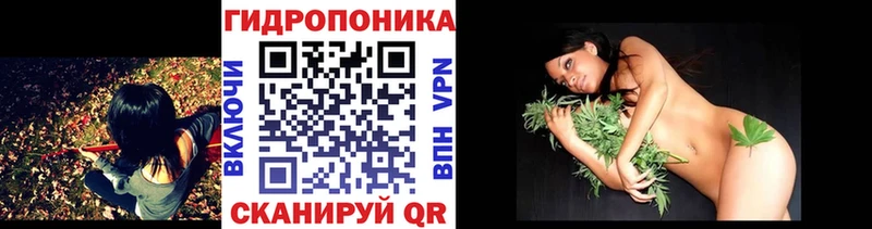 Бошки марихуана конопля  магазин продажи   Аксай 
